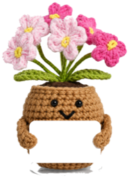 Bloom